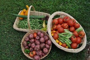 Garden Bounty