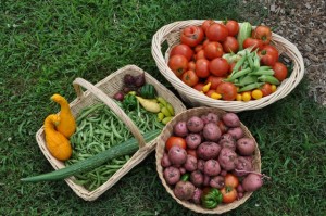 Garden Baskets